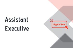 Assistant Executive-Heating Systems